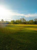 wide angle of trees with blue sky and sun exposure perfect for spring photo