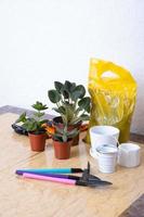 Plants and gardening tools with gloves, pots on marble table. Home gardening concept photo