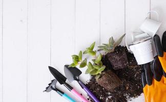 Home plants and the soil, pots and gardening tools flat lay, top view. Home gardening concept photo
