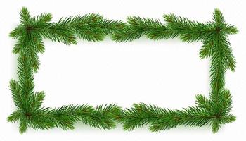 Realistic rectangular pine tree frame in vector