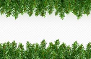 Pine tree branch border. green fir twigs frame vector