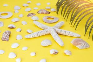 White starfish, shells with palm leaveson yellow background. Travel, vacation, summer photo