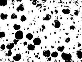 Grunge dots and points texture background. Abstract grainy overlay. PNG graphic illustration with transparent background.