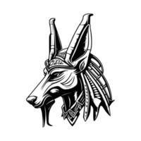 anubis head line art hand drawn illustration vector