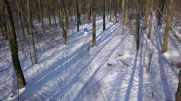 Visão a partir de altura para mulher dentro caloroso roupas passeios ao longo uma caminho entre a lindo inverno coberto de neve panorama. Claro video