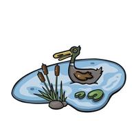 cartoon colored duck swimming in the pond line vector