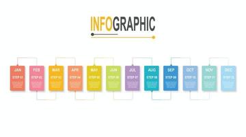 12 steps Rectangle Infographic Timeline template business data infochart illustration vector
