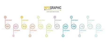 Infographic 12 steps Timeline in 1 year template business data illustration vector