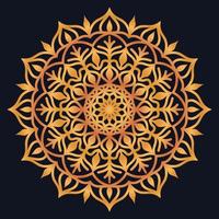 Decorative elements luxury ornament pattern gradient mandala design vector