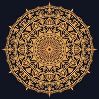 Decorative elements luxury ornament pattern gradient mandala design vector