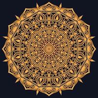 Decorative elements luxury ornament pattern gradient mandala design vector