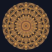 Decorative elements luxury ornament pattern gradient mandala design vector