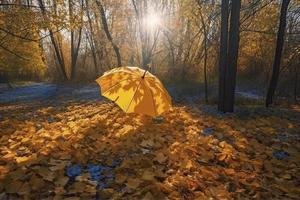 Beautiful autumn background landscape. Carpet of fallen orange autumn leaves in park and blue umbrella. Leaves fly in wind in sunlight. Concept of Golden autumn photo