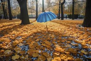 Beautiful autumn background landscape. Carpet of fallen orange autumn leaves in park and blue umbrella. Leaves fly in wind in sunlight. Concept of Golden autumn photo