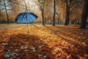 Beautiful autumn background landscape. Carpet of fallen orange autumn leaves in park and blue umbrella. Leaves fly in wind in sunlight. Concept of Golden autumn photo