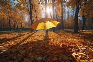 Beautiful autumn background landscape. Carpet of fallen orange autumn leaves in park and blue umbrella. Leaves fly in wind in sunlight. Concept of Golden autumn photo