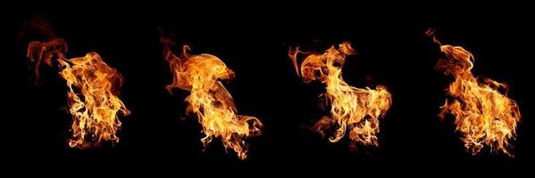 un grupo de llamas reales y calientes arden sobre un fondo negro.