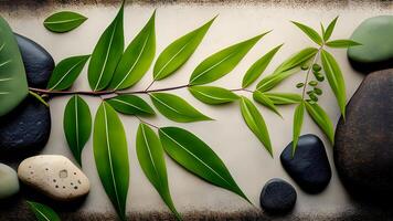 Natural spa illustration design with bamboo green leaves and zen stones. . photo