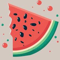 watermelon fruit slice with seeds vector