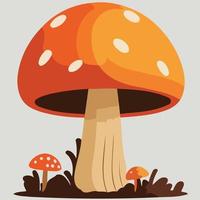 mushroom organism fungus colorful in soil isolated vector