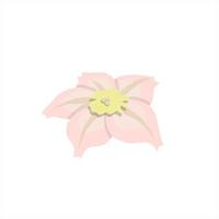 Colorful abstract flower icon. Vector illustration isolated on white background.
