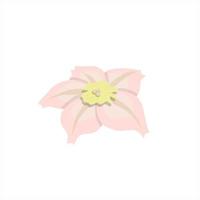 Colorful abstract flower icon. Vector illustration isolated on white background.