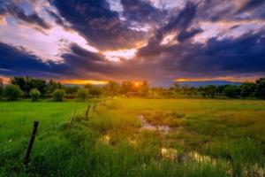 natural escénico arroz campo y puesta de sol en Tailandia foto