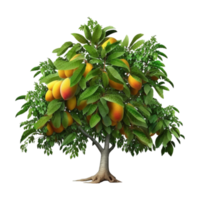 Nice Beautiful Mango Tree With Transparent Background png