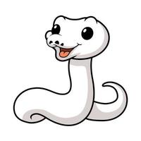 Cute white leucistic ball python snake cartoon vector