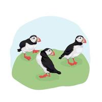 Vector illustration of the Atlantic puffin. Funny Northern bird isolated on a light background in a realistic watercolor style.  For banners, textiles, websites, web pages, and children's design.