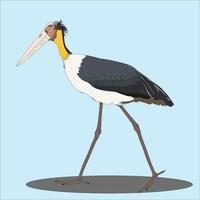 Illustration The Tongtong Stork is a species of bird in the Ciconiidae family. Scattered in southern Asia from eastern India to Java Island. vector