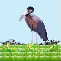 illustration The African openbill bird is widely distributed in Africa and the western region of Madagascar. vector