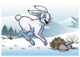 arctic hare in winter vector