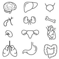 Human organs line icon set. vector