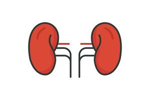 Kidney icon illustration. icon related to human organ. Flat line icon style, lineal color. Simple vector design editable