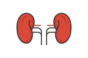 Kidney icon illustration. icon related to human organ. Flat line icon style, lineal color. Simple vector design editable