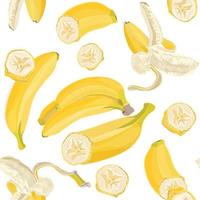 Seamless hand drawn tropical pattern with banana fruit on white background vector