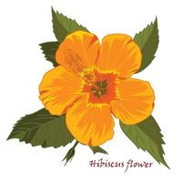 Set of yellow hibiscus flowers in realistic hand-drawn style isolated on white background vector