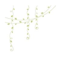 Green hanging vines vector illustration. Simple minimal floral botanical vine curtain design elements for spring.