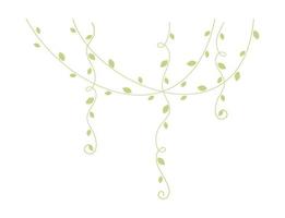 Green hanging vines vector illustration. Simple minimal floral botanical vine curtain design elements for spring.