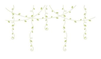 Green hanging vines vector illustration. Simple minimal floral botanical vine curtain design elements for spring.