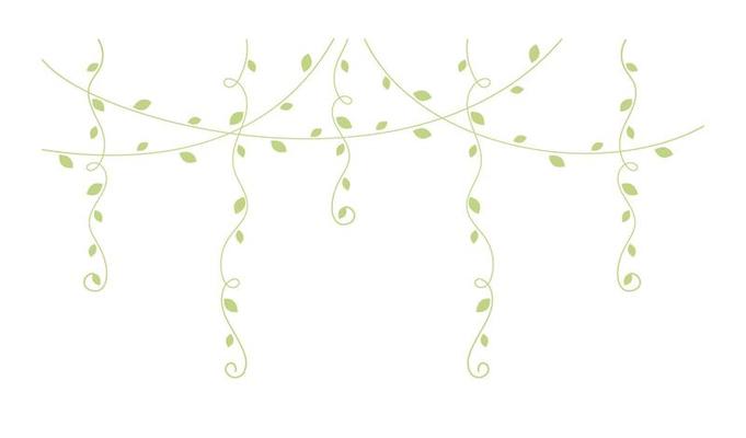 Green hanging vines vector illustration. Simple minimal floral botanical  vine curtain design elements for spring. 21777689 Vector Art at Vecteezy