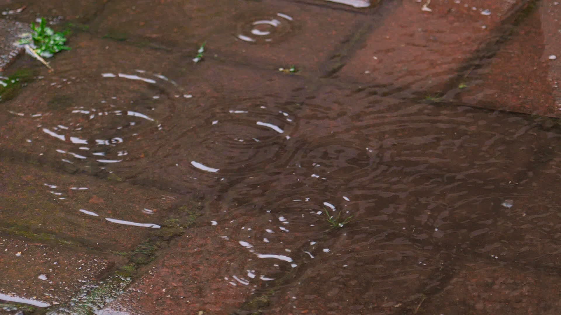 Falling raindrops into puddle, slow motion 21777922 Stock Video at Vecteezy