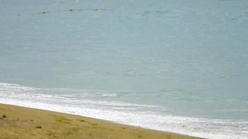 olas rompiendo en la playa de nai yang, phuket, tailandia video