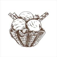 A hand-drawn sketch of  ice cream balls in a waffle basket.Vintage illustration. Element for the design of labels, packaging and postcards. vector