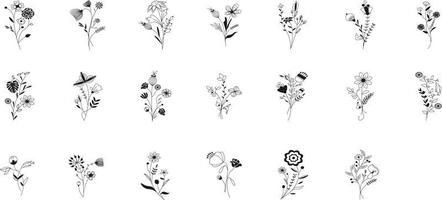 Meadow Botanical Set vector