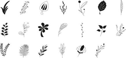 Leaves Doddle Set vector