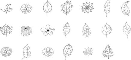 conjunto de hojas florales vector