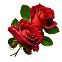 originale natura bellissimo rosso rosa fiore con verde foglia png