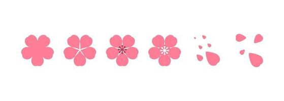 Cherry blossom illustration. Design elements of invitation, frame, banner, greeting card. vector